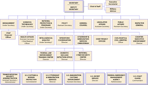 Organizational Chart Showing The Chain Of Command Among The