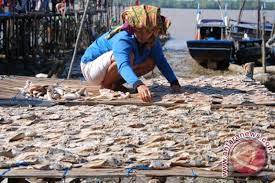 Gambar menjemur ikan asin kartun. Ikan Asin Kampung Nelayan Antara News Sumatera Selatan