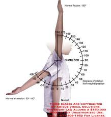 Maybe you would like to learn more about one of these? Flexion Anatomy Exhibits