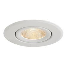 White Adjustable Surface Gimbal Par20 Trim For 4 Inch Recessed Cans T410w Wh Destination Lighting