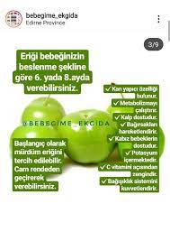 alinti bebeklere erik ne zaman verilir eri k