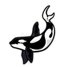 Killer Whale Or Orca Mascot Stock Vector Illustration Of Killer Grampus 74355497 Cartoon comics drawing killer whale , others transparent background png clipart. killer whale or orca mascot stock