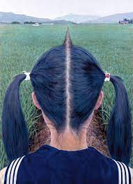 We did not find results for: 11 Optical Illusions For Kids Inquibox