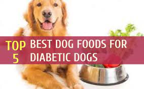 While simple sugars are usually not present in dog foods (even homemade ones), maintenance dog foods do contain between 30 and 70 percent carbohydrates, a major source of sugar, scanlan says. Best Dog Foods For Diabetic Dogs Diabetic Dog Food Diabetic Dog Best Dog Food