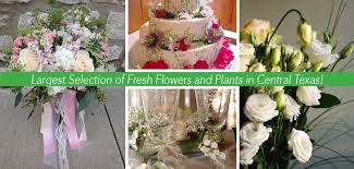 A rare bloom / 1300 lake air dr #6, waco, tx 76710. Wolfe Florist Waco Locals Love Us