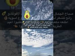 ماسك الافوكادو للشعر سناب أروى Youtube