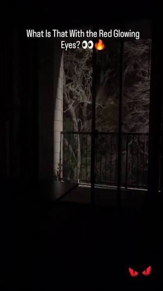 Out in the darkness, something was watching… two red glowing eyes piercing  through the night. Creature? Spirit? Or something else entirely? What do  you think it could be? #squatchwatch #cryptid #new