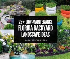 Check out some diy florida backyard ideas to spruce up your space. 25 Cheap Florida Backyard Landscape Ideas And Designs For 2021