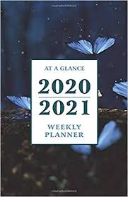 At A Glance 2020 2021 Weekly Planner Nighttime Butterflies 2 Year 24 Month Pocket Planner For Purse Jan 2020 Dec 2 Weekly Planner Planner Pocket Planner