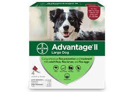 Check spelling or type a new query. Advantage Ii For Dogs For Veterinary Professionals