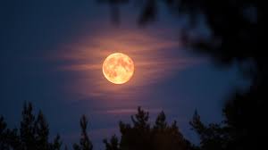 Where and How to See Earth's 'Second Moon' This Fall | Condé Nast Traveler