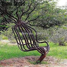 Search homes for sale, rental properties by city or zip, and find out information on recent home sales. Best Top 10 Tree Garden Near Me And Get Free Shipping A3