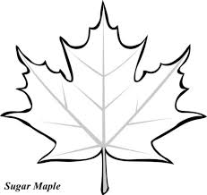Free Printable Coloring Pages For Kids Fall Leaves Coloring Pages Leaf Coloring Page Leaf Template