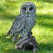 Nanook Animaux Jardin Decoration Figurines En Resine Pierre Artificielle Chouette Lapone 36 Cm Pierre Artificielle Animaux Chouette