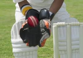 Cricket live ergebnisse, ergebnisse, tabellen. Ipl Die Besucherstarkste Cricketliga Der Welt Indien Aktuell