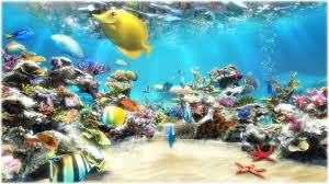 Desktop Aquarium 3d Live Wallpaper On Imac Youtube Aquarium Desktop Aquarium Live Aquarium