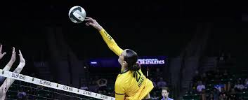 Volleyball vs Minnesota