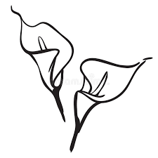 Black And White Lily Clipart Pink Peony European Peony Or Common Peony Paeonia Officinalis Affiliate European Peony Pink Lilies Drawing Lily Flower Tattoos Calla Lily Tattoos