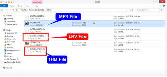They are used for viewing playback footage on the cam or the gopro app. What Are Lrv And Thm Files In Gopro Full Explained Photography