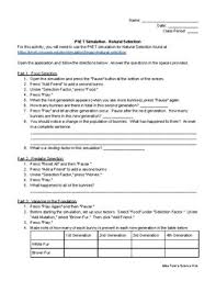 Phet Simulation Natural Selection Guided Worksheet By Miss Funk S Science Hub