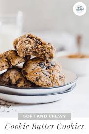 Dark Chocolate Cookie Butter Cookies Well Seasoned Studio Recipe In 2020 Chewy Cookie Fun Baking Recipes Butter Cookies Easy