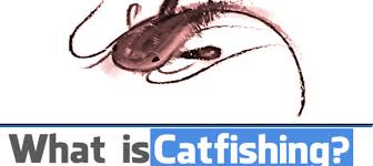 A catfish uses fake photos, and sometimes a false persona, to find friends or romantic. Catfished What Is Catfishing Online History Meaning Psychology And More About Catfish Scams People Search Socialcatfish Com