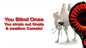 You strain out a gnat, yet gulp down a camel! Oh You Blind Ones You Strain Out Gnats Swallow Camels Teaching From Jesus Youtube