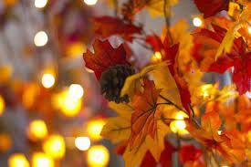 Pin By Alma Broback On October Flashback Desktop Wallpaper Fall Fall Wallpaper Fall Desktop Backgrounds