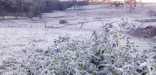 Os bonecos de neve mais engraçados. Onda De Frio Intensa No Brasil Continua Em Grande Parte Do Pais Sabado Sem Previsao De Neve Natureza