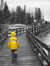 Black And White Pictures To Color Black And White With A Bit Of Color By Amrs Color Splash Photo Color Splash Photography Color Splash