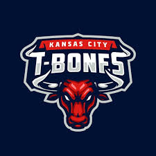 We did not find results for: Design A Minor League Baseball Team Logo Logo Brand Identity Pack Contest 99designs