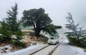 Mon livre préféré, c'est une bande dessinée de tintin, le sceptre d'ottokar. Au Liban La Tempete Atteindra Son Paroxysme Cet Apres Midi L Orient Le Jour