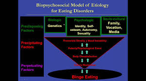 So anorexia nervosa is one type of eating disorder that is usually manifested in avoiding eating and in some cases patients are taking laxatives or induce vomiting. What Is Binge Eating Disorder Bed Symptoms Risks Causes