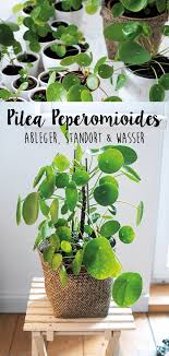 Pin On Garten Design