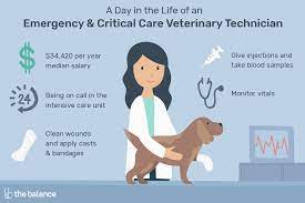 Basic veterinary assistant job description. Emergency Critical Care Vet Tech Job Description Salary Skills More