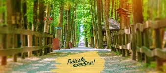 Edenland park reprezintă destinația ideală pentru aventură în aer liber, relaxare și distracție în familie sau cu prietenii. Edenland Park Home Facebook