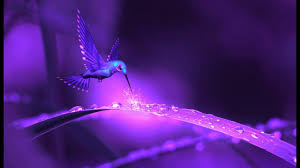 Check spelling or type a new query. Frequency Healing Music 432hz Positive Energy Meditative Music Self Love Energy Cleanse Youtube