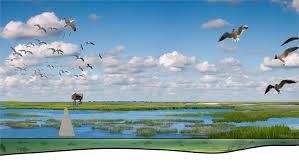 Dan zijn de marker wadden echt wat voor u. Marker Wadden Bezoeken Ga Op Ontdekkingsreis Met Zeilschip Bounty