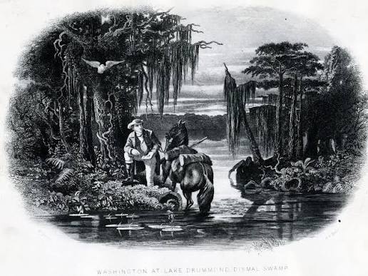 Paradise of serpents': How runaway slaves lived in the Great Dismal Swamp  before escaping to Canada | National Post