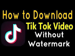Download Tiktok Video Without Watermark In 2020 Tok Tik Tok Video