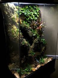 Pin By Adam On Vivarium Terrarium Paludarium Construction Ideas And Design Insperation Vivarium Terrarium Aquarium