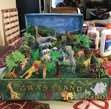 Grassland Biome In A Box Our Grassland Diorama Habitats Projects Ecosystems Projects Biomes Project