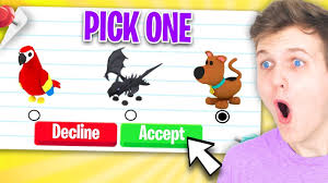 Sadly, there are no active adopt me codes available right now that can be redeemed in august 2021 this year. Can We Get The Best Adopt Me Trade Of 2021 New Neon Pets Youtube