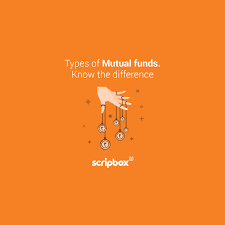 Filter by location to see mutual fund operations salaries in your area. Types Of Mutual Funds In India Learn About Mutual Funds Scripbox
