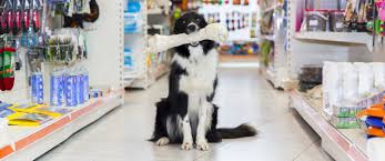 Please note these prices may vary depending on where you live in australia and may differ to each veterinary clinic. Petco Vs Petsmart Pet Store Prices Cheapism Com