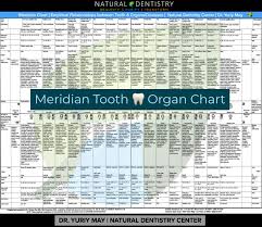 Tooth Body Connection Meridian Tooth Map