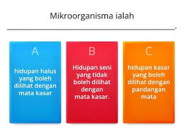Ogm5 2ocpe7fkm