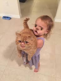 Funny face smile smiley happy cute emoji cat portrait fun. 69 Funniest Face Swaps From The Most Terrifying Snapchat Update Ever Bored Panda