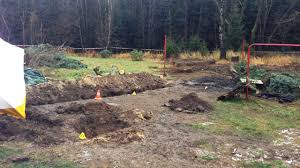 Was steine aus asien in städtischen gärten anrichten können. Suche Nach Leichenteilen Der Garten Des Grauens Dresden Bild De