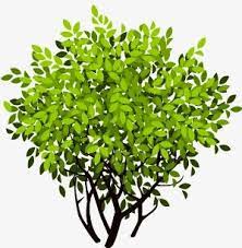 Bush Cartoon Vector Design Cartoon Bush Forest Png Transparent Clipart Image And Psd File For Free Download Vector Design Cartoons Vector Clipart Images